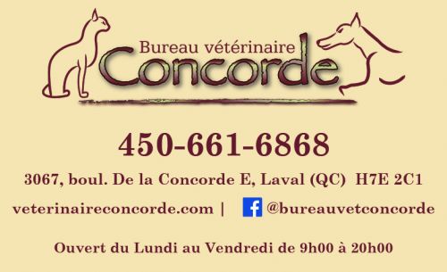 Bureau Vétérinaire Concorde à Laval